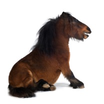 iStock_000004988901Small